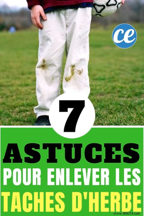 The 7 Tips to Get rid of Grass Stains. 