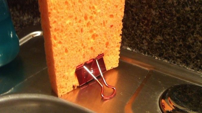 The Tip To Avoid Mold On Your Sponge. 