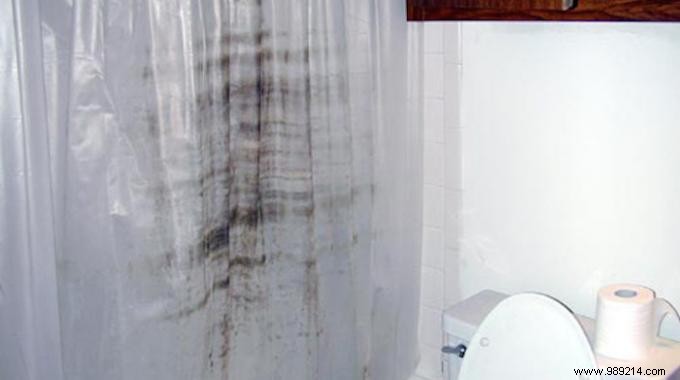How to Clean a Moldy Plastic Shower Curtain? The Effective Solution. 