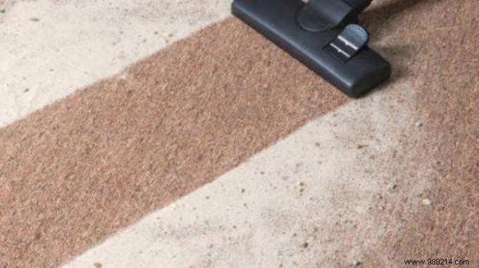 The Secret to Cleaning Your Carpet Easily. 