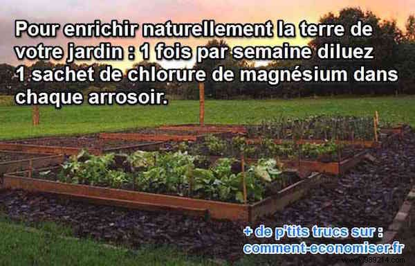 The Natural Fertilizer Your Vegetable Garden Will Love. 