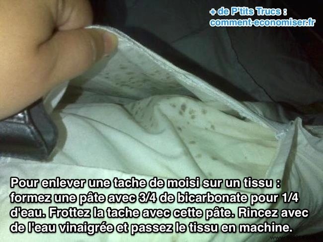 The Tip for Removing a Mildew Stain from a Fabric. 