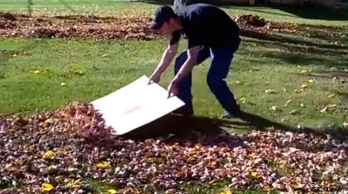 The Brilliant Trick to Collect Leaves in the Garden QUICKLY. 
