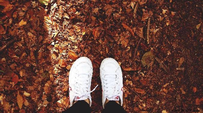 3 Uses for Fallen Leaves Nobody Knows About. 