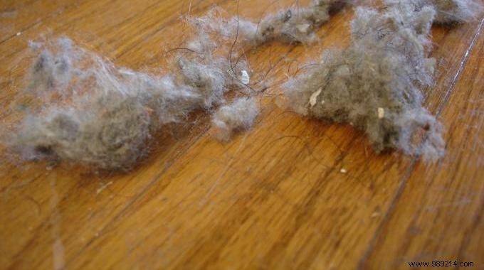 8 Effective Tricks To Permanently Eliminate Dust. 