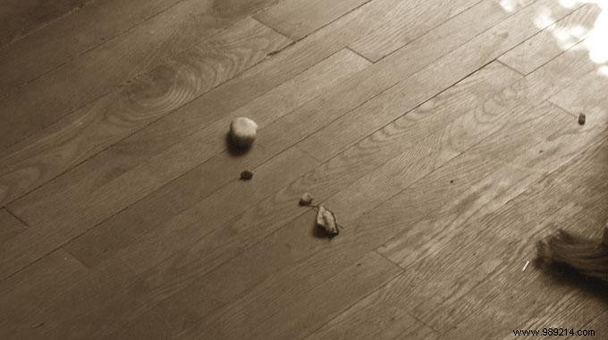 The Tip for Cleaning a Parquet Easily WITHOUT a Wipe. 