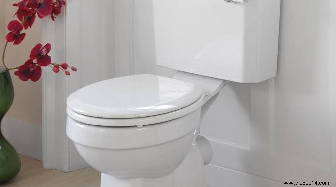 The trick to cleaning the toilet with a homemade cleaner. 