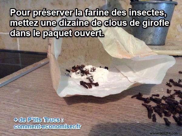 How to Preserve Meal from Insects? My Grandmother s Answer. 