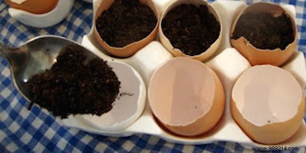 10 Incredible Uses of Eggshells. 