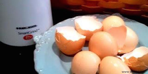 10 Incredible Uses of Eggshells. 