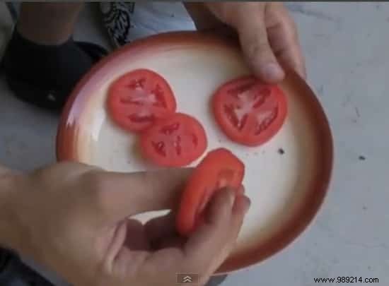 The World s Easiest Way To Grow Tomatoes. 