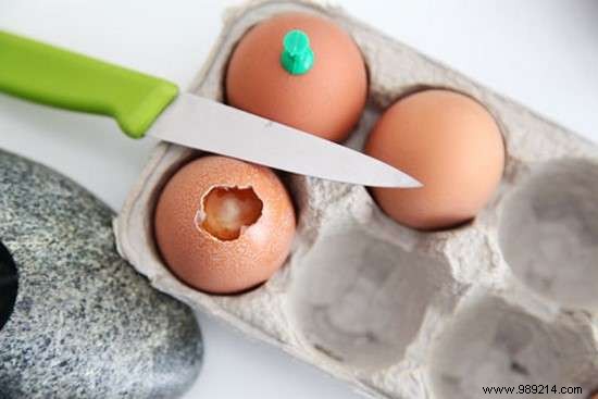 Use Eggshells As Seedling Pots To Save On Gardening. 