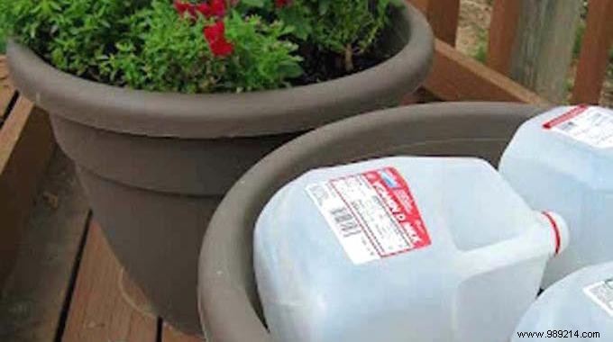 The Simple Trick To Save Soil In Your Flower Pots. 
