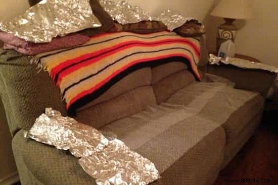 19 Uses of Aluminum Foil that NOBODY KNOWS. 