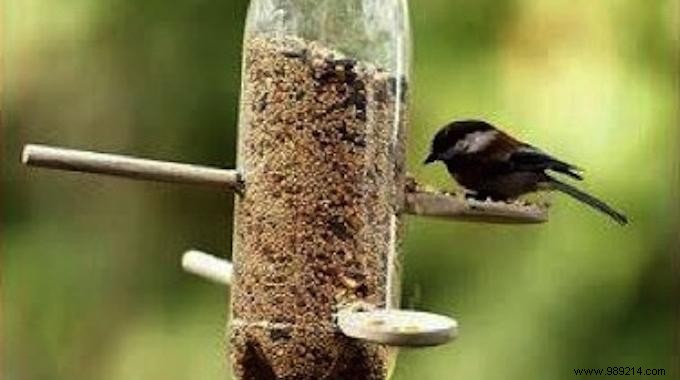 How to Easily Create an Automatic Bird Food Dispenser. 