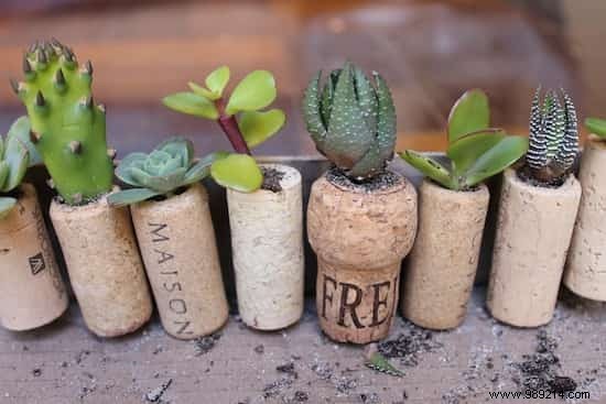 How to Make Mini Flower Pots out of Bottle Stoppers. 