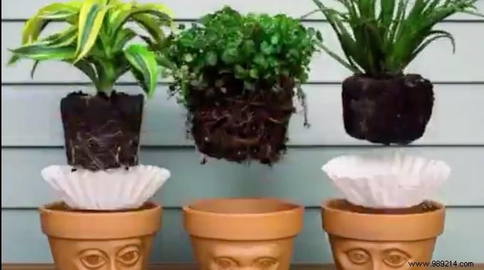 Use a Coffee Filter to Maintain Soil in Your Flower Pots. 