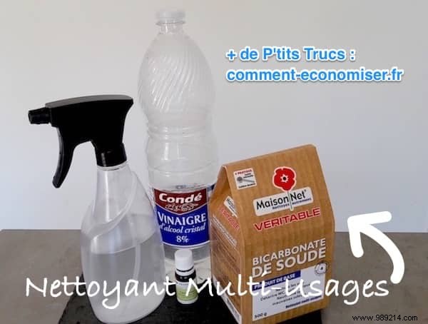 Ultra Simple and Effective:The Recipe for the Multi-Purpose Cleaner Ready in 2 Min. 