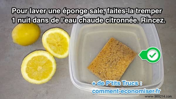 Sponge That Smells Bad? Here s How To Clean It EASILY. 