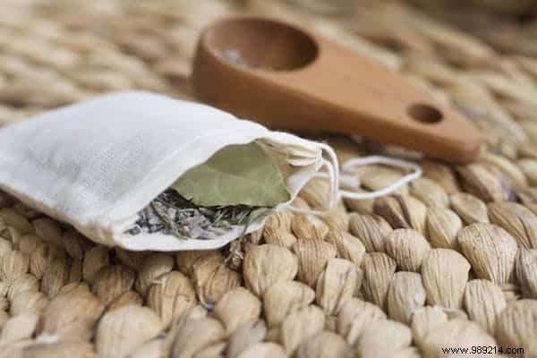 The 7 Best Remedies To PREVENT Moths From Eating Your Clothes. 