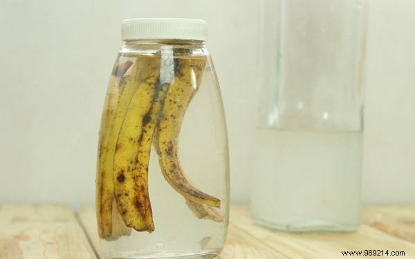 13 Uses for a Banana Peel You Never Thought of. 