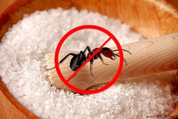 16 Surprising Uses for TABLE SALT. Don t miss #11! 