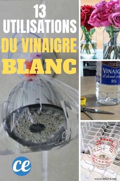 White Vinegar Is A POWERFUL Cleanser. Here are 13 Ways to Use it for a NICKEL Home. 