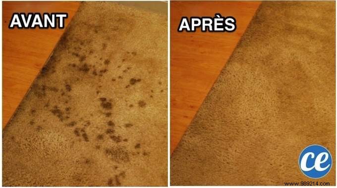 The Magic Recipe for Carpet Stain Remover (Easy to Make and Natural). 