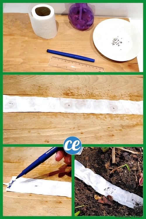 How To Make Seed Ribbon With Toilet Paper (Easy And Cheap). 
