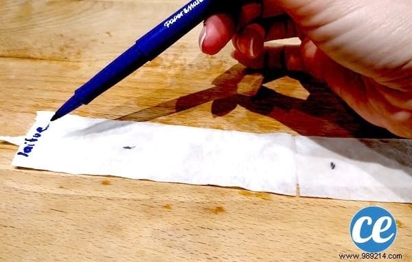 How To Make Seed Ribbon With Toilet Paper (Easy And Cheap). 