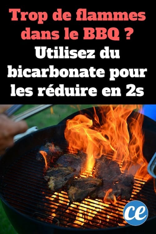 Too Many Flames In The Barbecue? Use Baking Soda To Reduce Them (And Avoid Catastrophic!). 