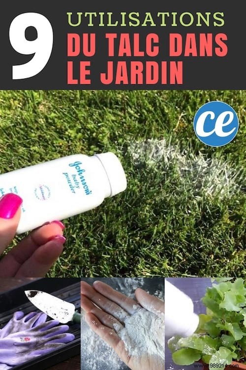 9 Amazing Uses for Talc in the Garden. 
