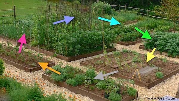 10 Gardening Secrets To Grow Beautiful And Big Tomatoes Easily. 