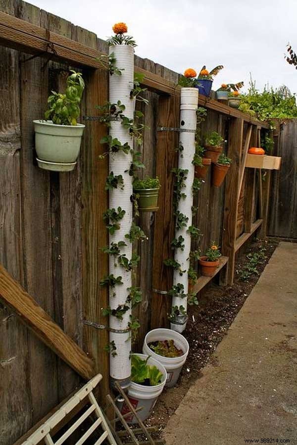 Garden:20 Ingenious Ways to Use PVC Pipes. 
