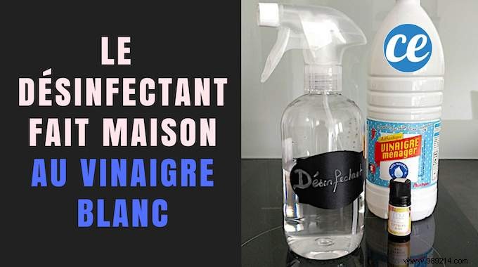 No More Bleach For Toilets! Use This Homemade White Vinegar Disinfectant Instead. 