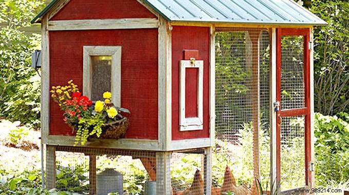 My First Chicken Coop:The Easy Guide For Beginners. 