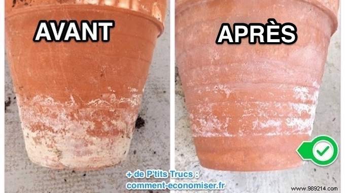 White Streaks On Flower Pots:How To Remove Them With White Vinegar. 