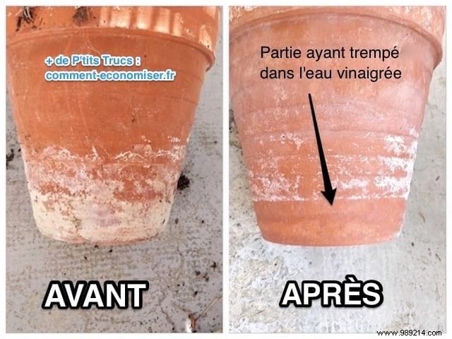 White Streaks On Flower Pots:How To Remove Them With White Vinegar. 