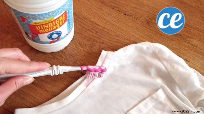 How to Remove a Lipstick Stain With White Vinegar. 