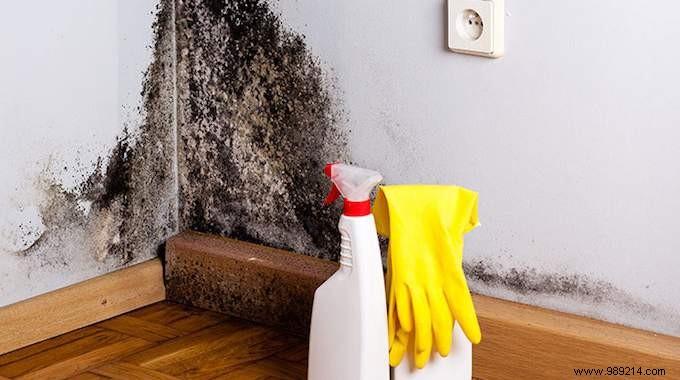 How to Eliminate Mold WITHOUT Chemicals. 