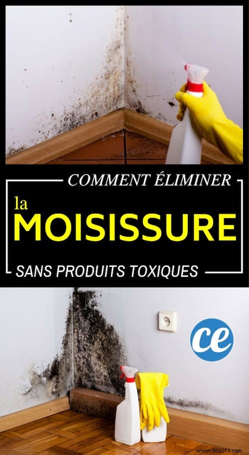 How to Eliminate Mold WITHOUT Chemicals. 