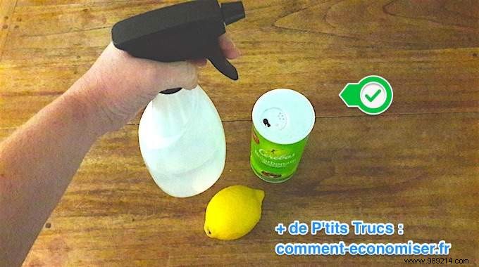 The Ready-in-1-Min Air Freshener Spray to Make Your Home Always Smell Good. 