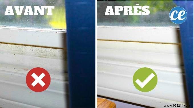 4 Tips to ELIMINATE Mold NATURALLY. 