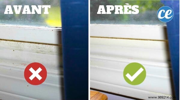 4 Tips to ELIMINATE Mold NATURALLY. 
