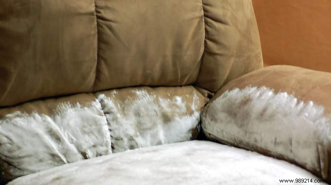 Couch Odors:How To Remove Them Easily With Baking Soda. 