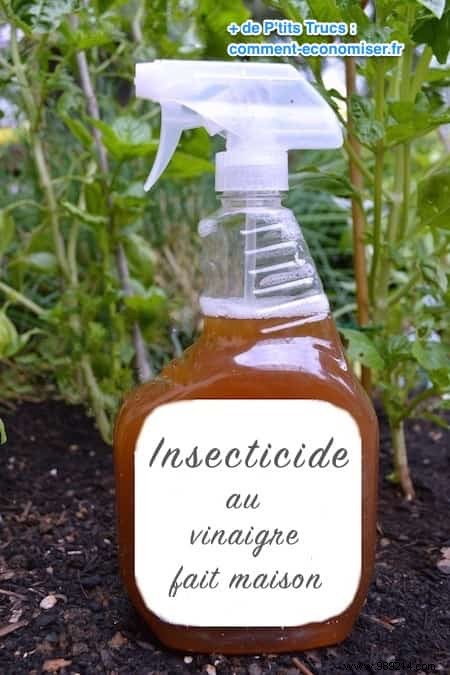 If You Use White Vinegar In The Garden, These 13 Miracles Will Happen. 
