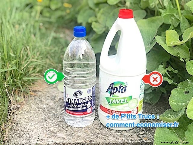 Bleach Or White Vinegar:Which Product To Use For Cleaning? 