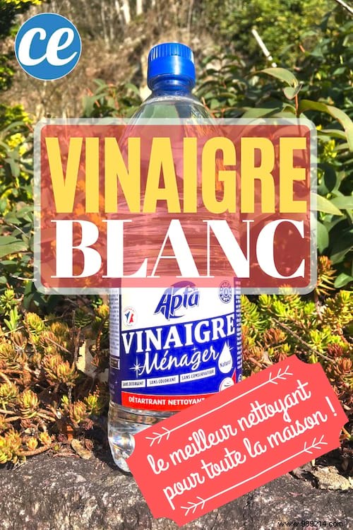WHITE VINEGAR:The One And Only Cleanser You Need. 