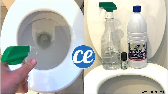 Very Scaled WC? The Powerful Home Descaler Spray Ready In 1 Min! 