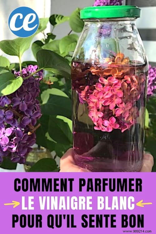 How To Flavor White Vinegar For Quil SMELLS GOOD LILAC. 